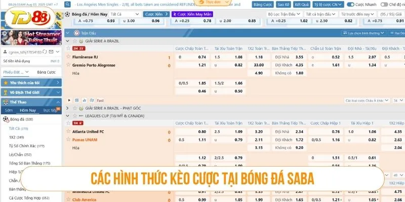 Các hình thức kèo cược tại bóng đá SABA là gì