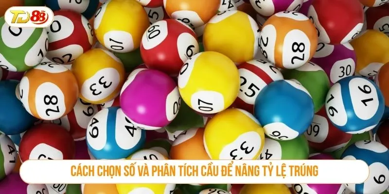 Cách chọn số và phân tích cầu để nâng tỷ lệ trúng