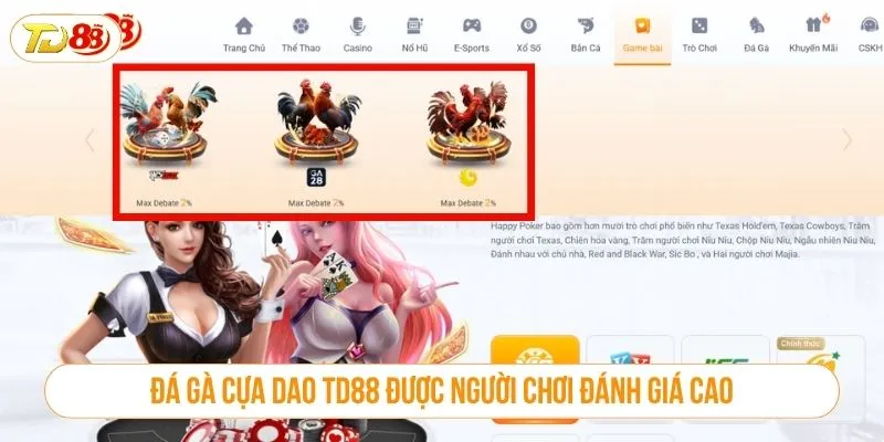 Đá gà cựa dao TD88 được người chơi đánh giá cao