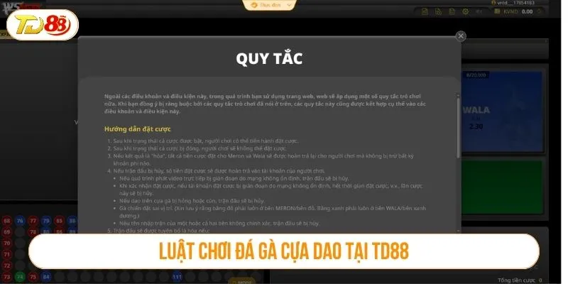 Luật chơi đá gà cựa dao tại TD88
