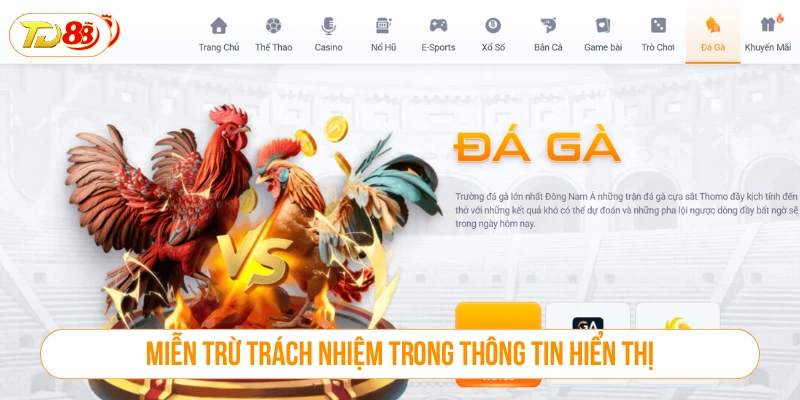 Miễn trừ trách nhiệm trong thông tin và nội dung hiển thị