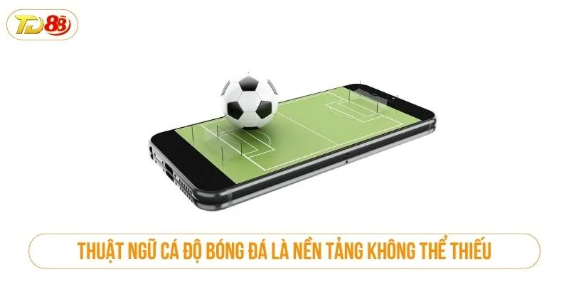 Thuật ngữ cá độ bóng đá là nền tảng không thể thiếu