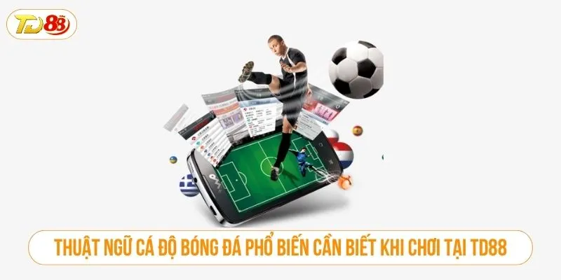 Thuật ngữ cá độ bóng đá